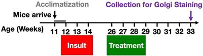 Gulf war toxicant-induced effects on the hippocampal dendritic arbor are reversed by treatment with a Withania somnifera extract